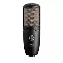 AKG P220 Black | In Stock | Quzo UK
