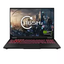 ASUS TUF Gaming A16 FA608PMRV009W AMD Ryzen™ 9 8940HX Laptop 40.6 cm