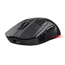 Trust GXT 929 Helox mouse Gaming Righthand RF Wireless Optical 4800