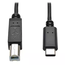 Tripp Lite U040006 USBC to USBB Cable  USB 2.0, (M/M), 6 ft. (1.83