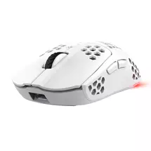 Trust GXT 929 Helox mouse Gaming Righthand RF Wireless Optical 4800
