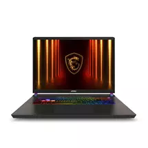 MSI Vector 17 HX AI A2XW003UK Intel Core Ultra 9 275HX Laptop 43.2 cm