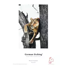 Hahnemühle German Etching Art paper 25 sheets | In Stock