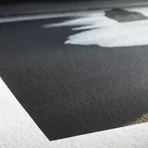 Hahnemühle Photo Rag Bright White Matt | In Stock | Quzo UK