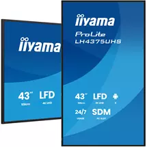 iiyama 43" 4K UHD Professional Digital Signage 24/7 display featuring