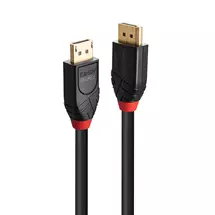 Lindy 10m Active DisplayPort 1.4 Cable | In Stock | Quzo UK