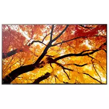 4K Ultra HD | Sharp MultiSync M752 Interactive flat panel 189.2 cm (74.5") LED 550