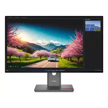 Everyday Monitors | Lenovo ThinkVision P32UD40 computer monitor 80 cm (31.5") 3840 x 2160
