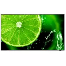 Sharp | NEC MultiSync E498 124.5 cm (49") IPS 350 cd/m² 4K Ultra HD Black 16/7