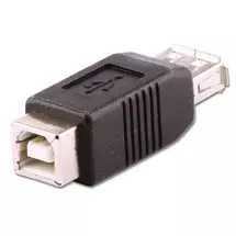 Cable Gender Changers | Lindy USB Adapter Type A-F/B-F | In Stock | Quzo UK