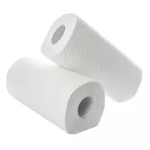 2Work CT73665 toilet paper | In Stock | Quzo UK