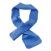 Ergodyne | Ergodyne 12418 hand towel Blue 10.2 x 74.9 cm | In Stock