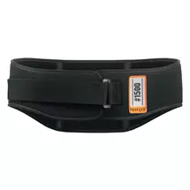 Top Brands | Ergodyne ProFlex 1500 Back Brace M | In Stock | Quzo UK