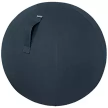 Leitz  | Leitz Ergo Cosy Active Sitting Ball | In Stock | Quzo UK