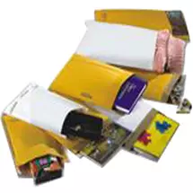 Sealair | Sealed Air Buste Mail Lite 15x21 | Quzo UK