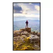 Sharp | Sharp PNE439 Digital signage flat panel 109.2 cm (43") LCD 350 cd/m²