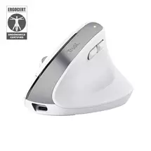 Spring Sale | Trust Bayo+ mouse Office Righthand RF Wireless + Bluetooth Optical