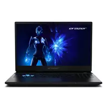 Medion  | ERAZER Deputy 15 P1 (MD 62760) UK Intel Core 9 270H Laptop 39.6 cm