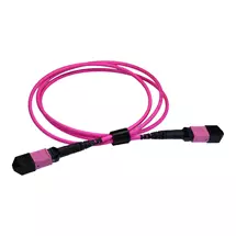 Top Brands | Cablenet MPO12TC4MPO3EV InfiniBand/fibre optic cable 3 m Magenta,
