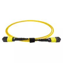 Top Brands | Cablenet 20m OS2 MPO (F) to MPO (F) Female 12F Yellow Trunk Cable