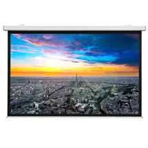 Projector Screen | DaLite Compact Electrol, 156 x 250 cm with Matte White Non Tensioned