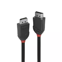 Lindy Displayport Cables | Lindy 3m DisplayPort 1.2 Cable, Black Line | In Stock
